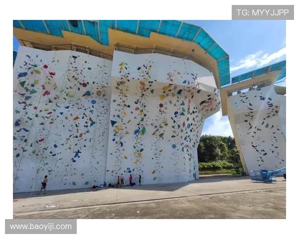 广州攀岩队在全国攀岩状态排行榜中荣获第八名的佳绩引发关注