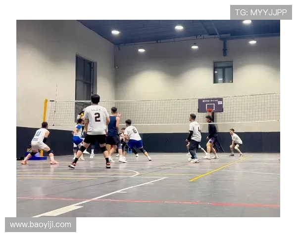 成都排球队技术争议引发热议球迷与专家的观点碰撞与思考