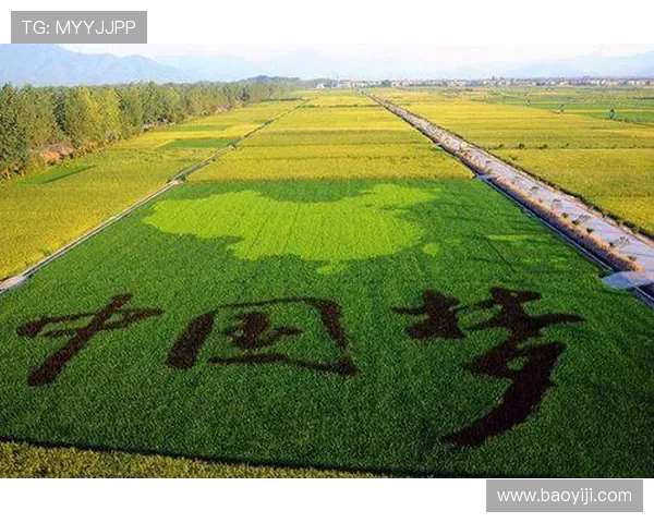 宁波町渥打造创新产业新高地助力区域经济高质量发展蓝图